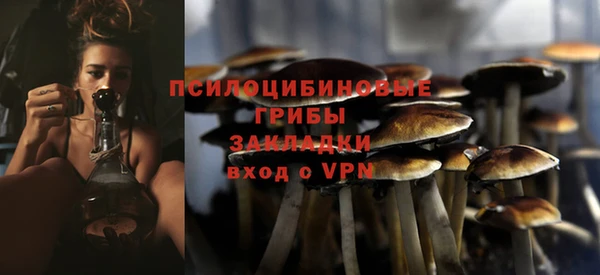 спиды Беломорск