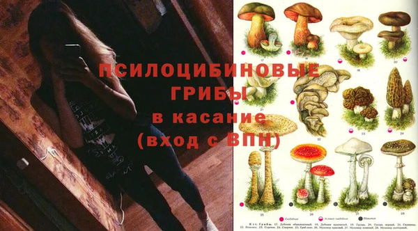 спиды Беломорск